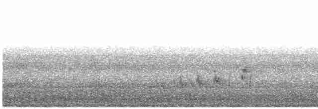 Buff-collared Nightjar - ML619630779