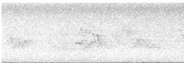 Дроздовый певун - ML619631124