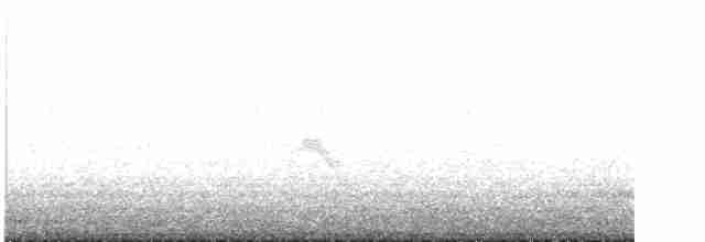 Дрізд-короткодзьоб малий - ML619631336