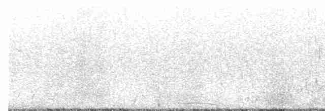 Greenish Warbler - ML619632320