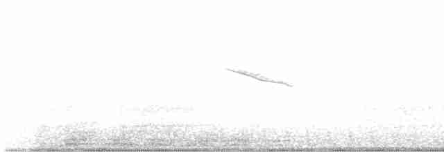 Curve-billed Thrasher - ML619633395