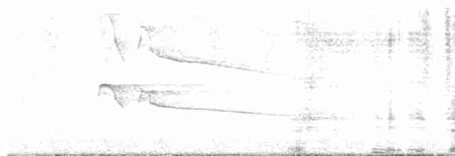 Missisipi Çaylağı - ML619634016