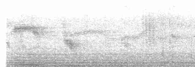 Серпокрилець блідий - ML619634034