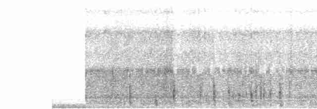 Little Tinamou - ML619635664