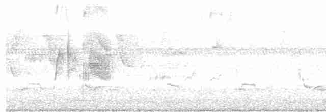 Ивовый мухолов - ML619635781