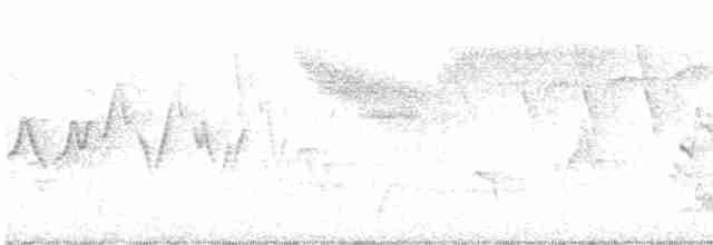Голубокрылая червеедка - ML619635927