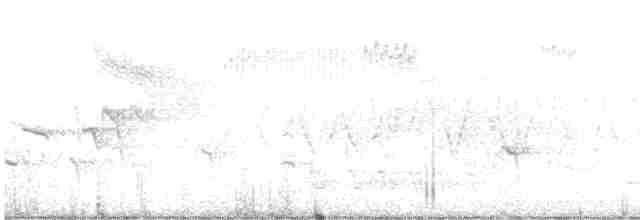 lesňáček modrokřídlý - ML619635929