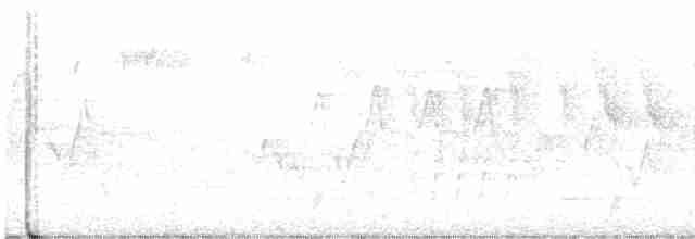lesňáček modrokřídlý - ML619635930