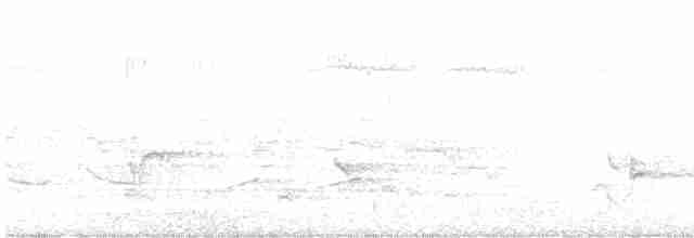 Голубокрылая червеедка - ML619635931