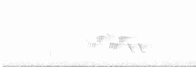 Черногорлая хвойница - ML619636008