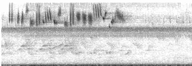 Çekirge Sesli Çayır Serçesi - ML619636014