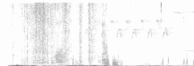 Дрізд-короткодзьоб плямистоволий - ML619636325