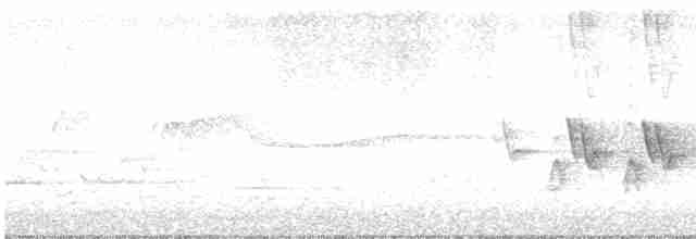 Kentucky Warbler - ML619636459