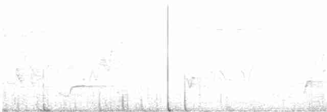 brunkinnskogtrost (swainsoni gr.) - ML619636834