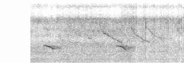 White-tailed Kite - ML619637277