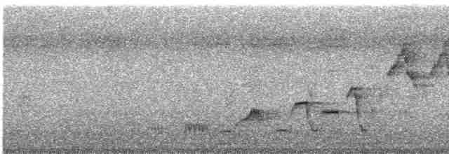 Дрізд-короткодзьоб Cвенсона - ML619637359
