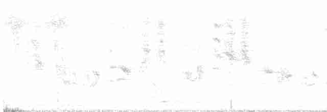 Eastern Olivaceous Warbler - ML619638418