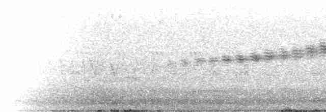 Prairie Warbler - ML619638424