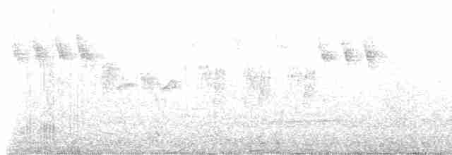 Gray Wagtail - ML619638471