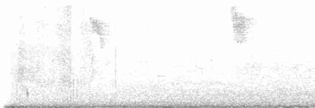 gråfluesnapper - ML619638515
