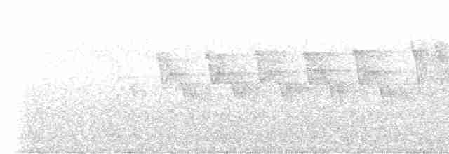 Червоїд сіроголовий - ML619638598