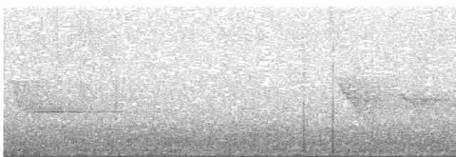 Сероголовый виреон - ML619638664
