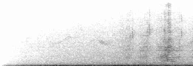 אווז הוואי - ML619638772