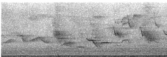 Дрізд-короткодзьоб Cвенсона - ML619639243