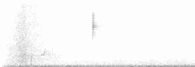 Дрізд-короткодзьоб Cвенсона - ML619639280