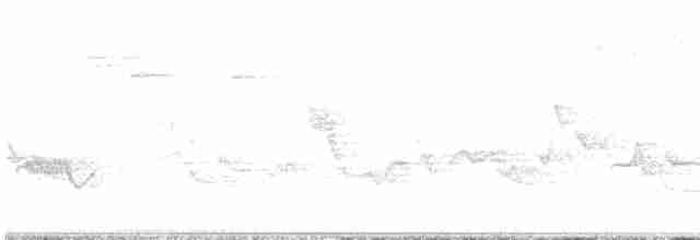 Віреон світлобровий (підвид gilvus) - ML619639399