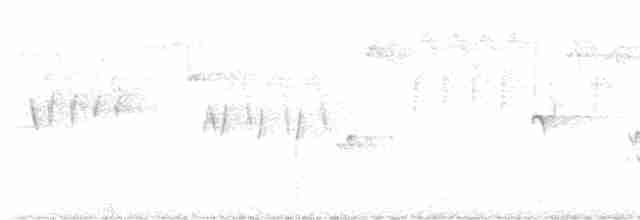 Тихоокеанский крапивник - ML619639595