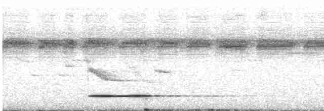 Кустарниковый скрытохвост - ML619640154