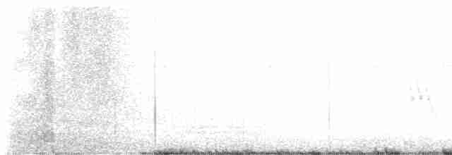 גיבתונית לבנת-גבה - ML619640333