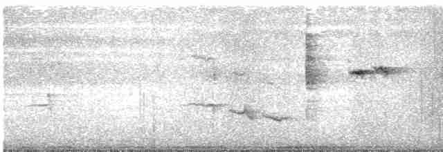 rákosník pokřovní - ML619640635