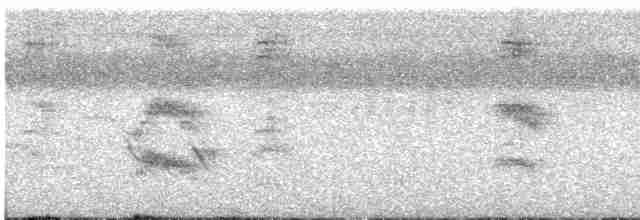 Тиран-карлик жовточеревий - ML619640714