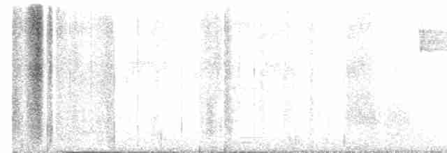 Troglodyte rufalbin - ML619641021