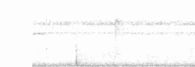 Пурпурногорлая эуфония - ML619641245
