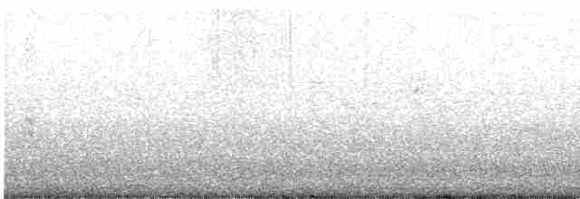 סנונית רפתות - ML619643197