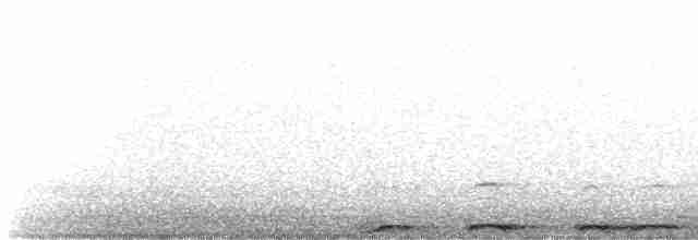 Chouette rayée - ML619643223