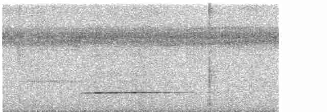 Cinereous Tinamou - ML619643380