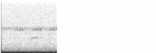 Дрізд-короткодзьоб Cвенсона - ML619644024