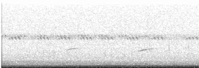 Дрізд-короткодзьоб Cвенсона - ML619644030