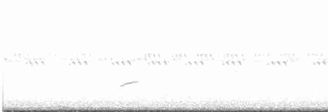 Дрізд-короткодзьоб Cвенсона - ML619644034