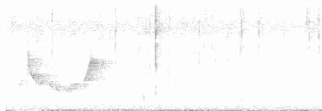 Vireo Ojiblanco (grupo griseus) - ML619644118