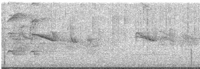 Kara Başlı İskete - ML619645359