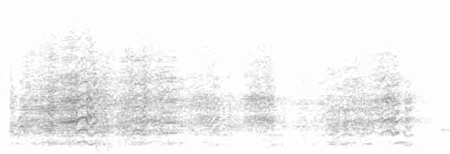 kakadu přílbový - ML619645701