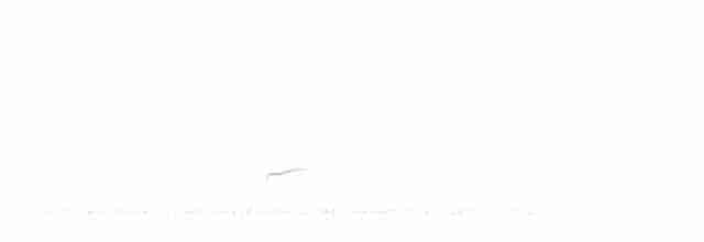 Дрізд-короткодзьоб Cвенсона - ML619647214