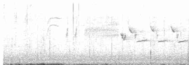 Bewick Çıtkuşu - ML619648027