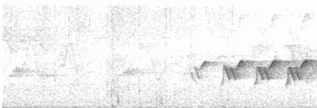 Kentucky Warbler - ML619648596