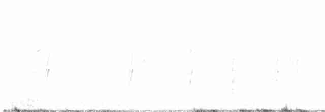 סנונית רפתות - ML619649870